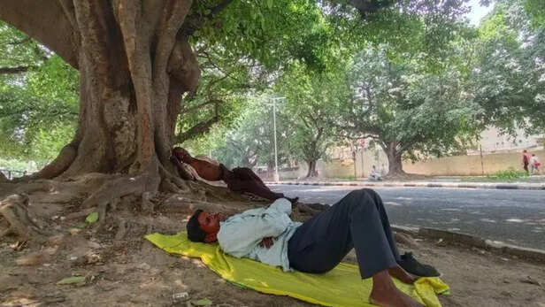 बुजुर्गों को गर्मी से बचाएं