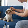 Maintain Proper Hygiene and Clean Living Environment