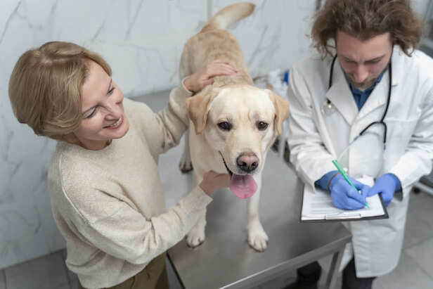 Regular Veterinary Check ups and Deworming