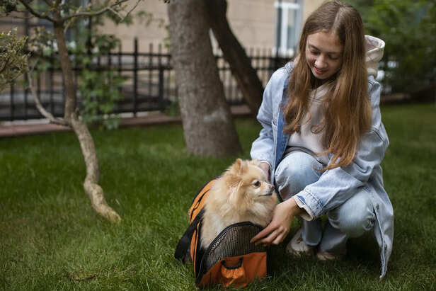 Protect Your Pet Outdoors