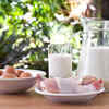 Choose High Quality Commercial Pet Food