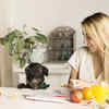 Effective Prevention Through Diet and Portion Control