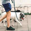 Importance of Regular Exercise and Active Lifestyle