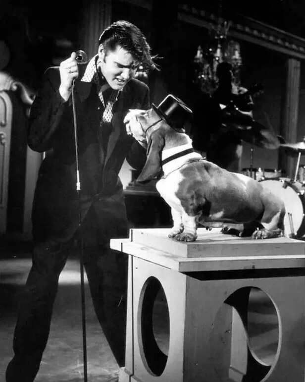 X | Soon after, users began reposting the audio with exaggerated praise, helping turn it into the latest ironic obsession.