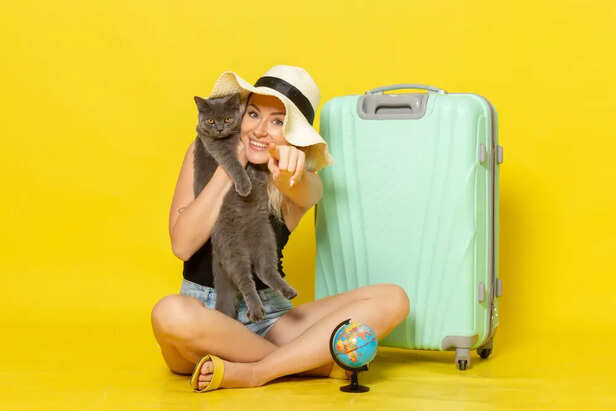 Making Travel Easy For Pet                                     (Image Credit:Freepik)