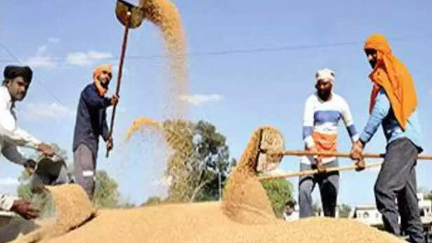 हर किसान का गेहूं खरीदा जाए- शिवराज सिंह चौहान