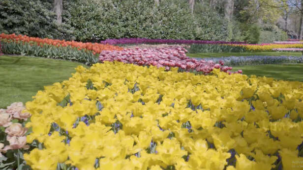 कृषि, बागवानी, उद्योग, शिक्षा और तकनीक के क्षेत्र में संभावित सहयोग पर चर्चा 