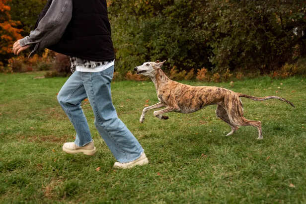 Running Around for No Reason