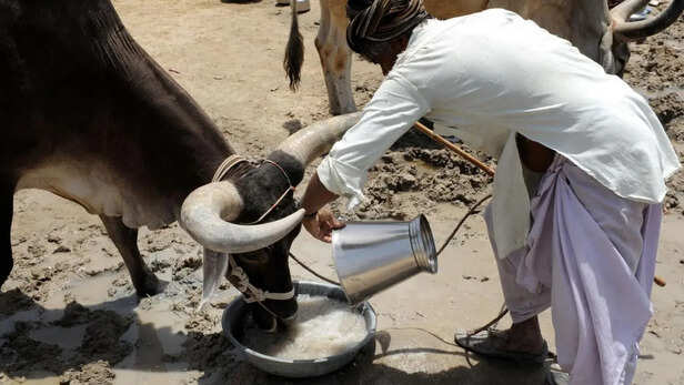 पशुपालकों के लिए सलाह
