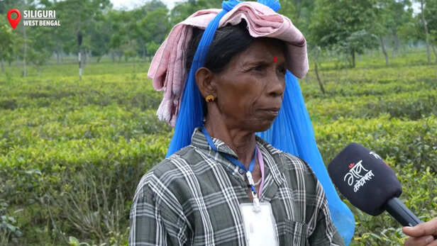 रोशनी, चाय श्रमिक, सिलिगुड़ी, पश्चिम बंगाल