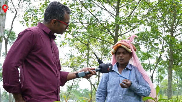 जंगली जानवरों का भी रहता है ख़तरा