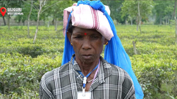 सिलिगुड़ी चाय बागान महिला श्रमिक-रोशनी