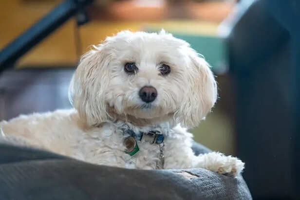 Mistake 3: Ignoring Comfort During Travel