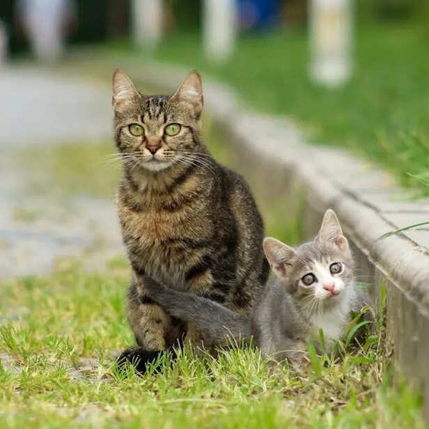 Mistake 6: Overlooking Safety Measures