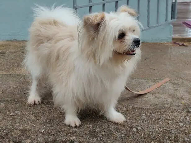 Mistake 6: Overlooking Safety Measures