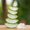 Aloe Vera                                   (Image Credit:Chatgpt Ai)