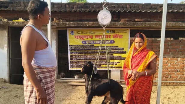 तकनीक से तय हो रही सही कीमत