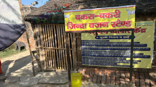 बकरा-बकरी जिंदा वजन स्टैंड