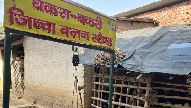 महिलाओं को मिल रही अच्छी आमदनी