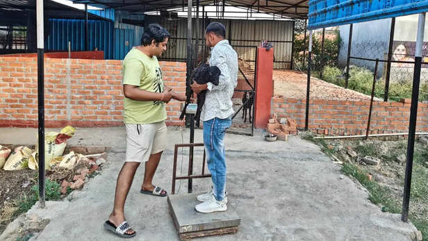 ठगी से हो रहा बचाव