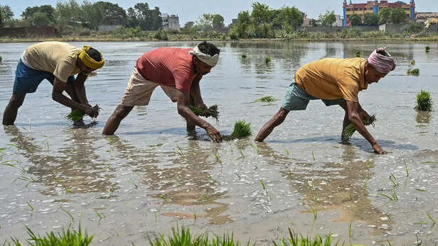 सरकारी या सार्वजनिक विकास कार्यों के लिए ली गई जमीन का मिलेगा मुआवजा