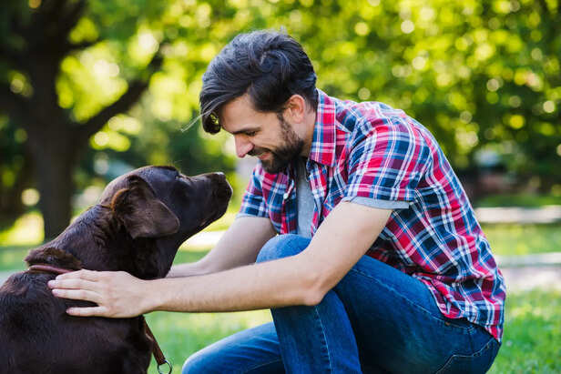 What feels like comfort is actually a deeper biological connection