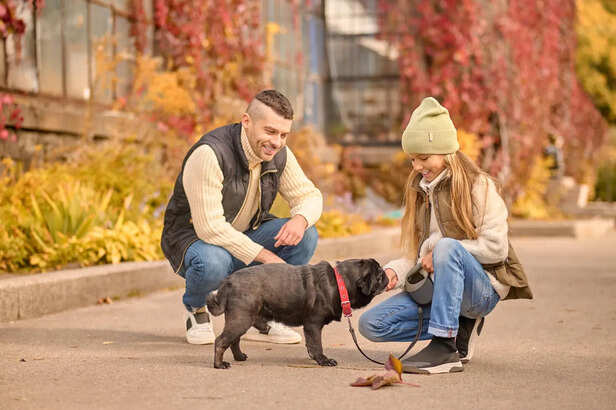 A family and their pet spending morning together