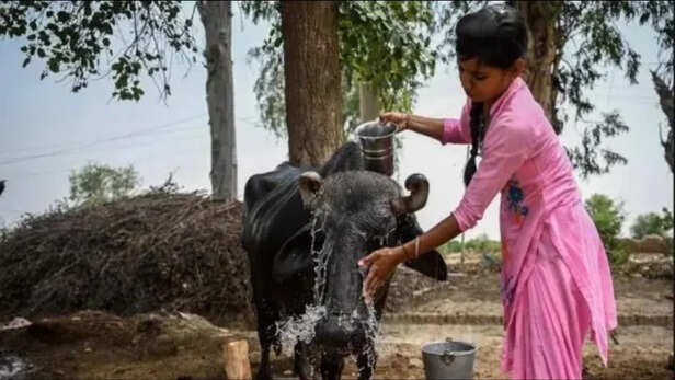 किसानों की आजीविका संकट में