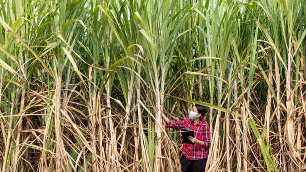 SMS के जरिए पूरी जानकारी दी जाएगी