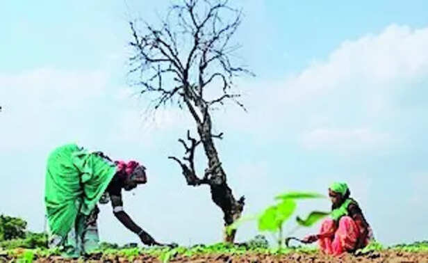 WMO warns of likely El Niño return