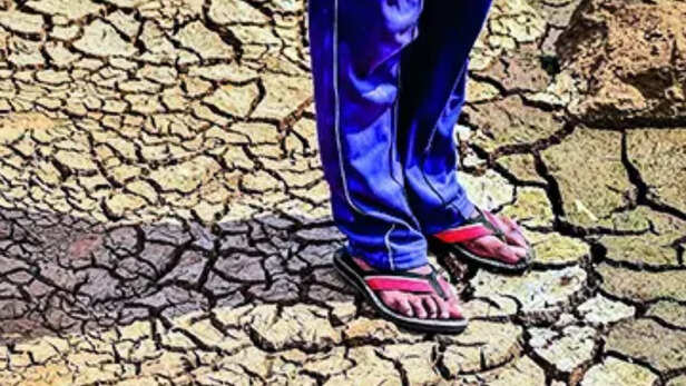 भारत में कम बारिश की संभावना, WMO अल नीनो रिपोर्ट