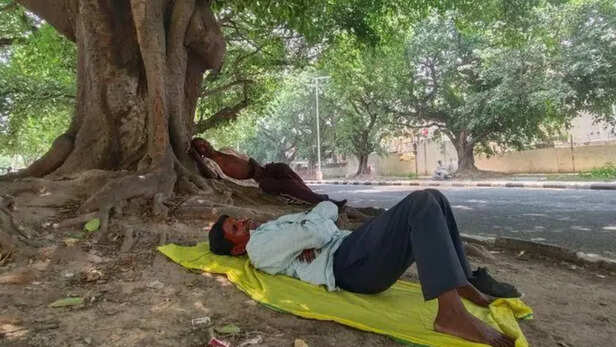 प्रयागराज शुक्रवार को देश का सबसे गर्म शहर दर्ज किया गया