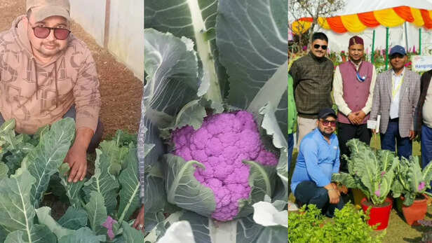 बागेश्वर के सलीगांव निवासी मनोज कोरंगा (Integrated Farming System के जरिए करते हैं खेती