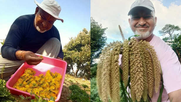 चंद्रशेखर पांडे कर रहे हैं करीब 2 हेक्टेयर भूमि पर जैविक और औषधीय खेती