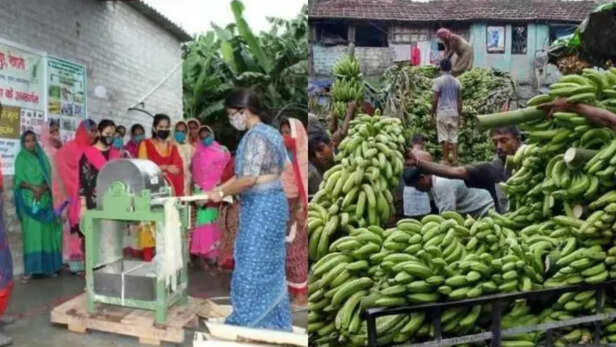 पर्यावरण-अनुकूल और कम कार्बन फुटप्रिंट वाले उत्पादों  को मिल रही है प्राथमिकता