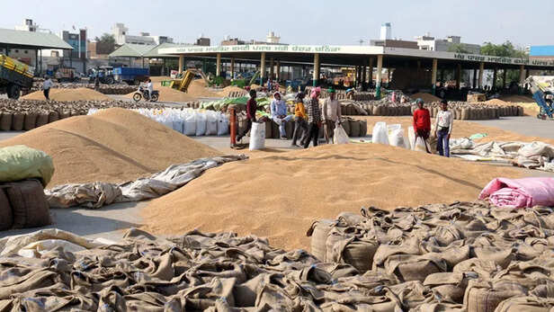 हरियाणा, मध्य प्रदेश और महाराष्ट्र से अच्छे उत्पादन के संकेत