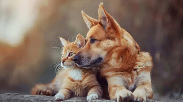 Difference in nature                             (Image Credit:Freepik)