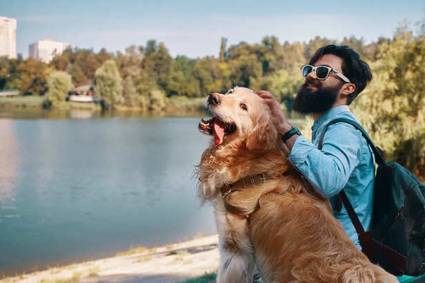 Signs Your Pet Is Travel Friendly