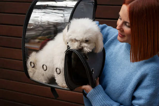 Why Some Pets Dislike It