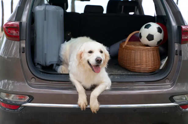 Before Planning a Big Trip