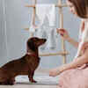 How to Train an Adult Pet Successfully
