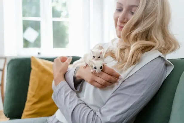 Easy to handle                        (Image Credit:Pexels)