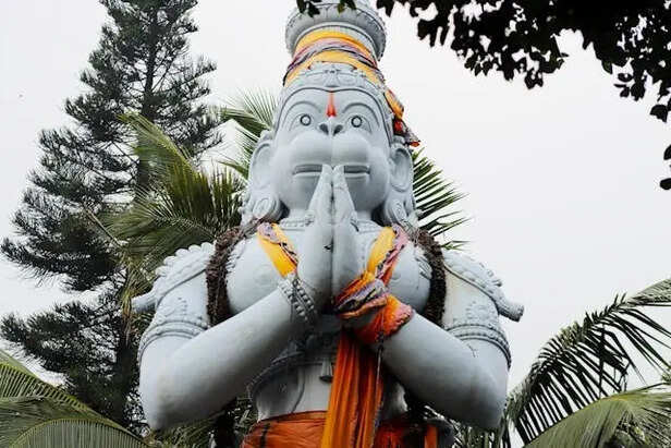 Faced fears gracefully                    (Image Credit:Pexels)