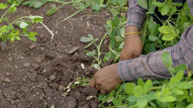 रयासनों के अधिक इस्तेमाल से बढ़ती है लागत