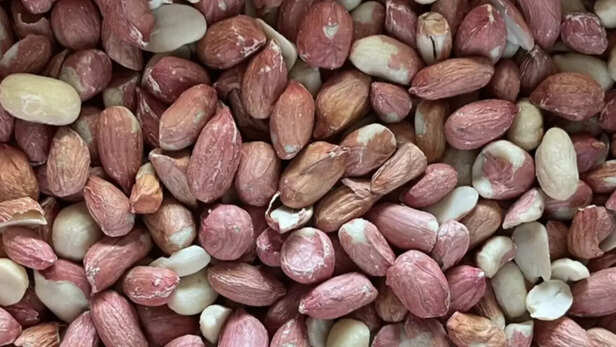 मूंगफली उद्योग को मिलेगा बढ़ावा