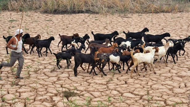 मई में पड़ेगा सूखा-IMD