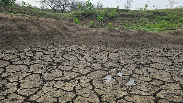 इस बढ़ती गर्मी में किसानों को रहना होगा सतर्क