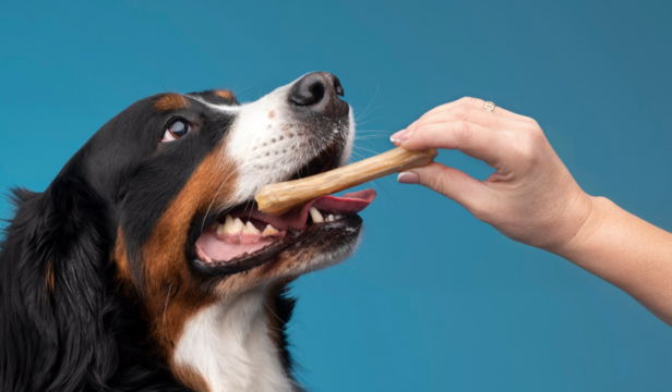 feeding right                    (Image Credit:Freepik)
