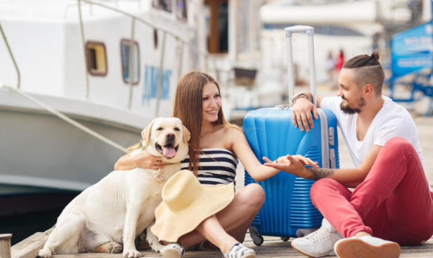Happy Dog                          (Image Credit:Freepik)