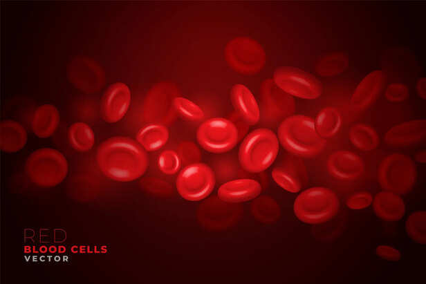 Red blood cells